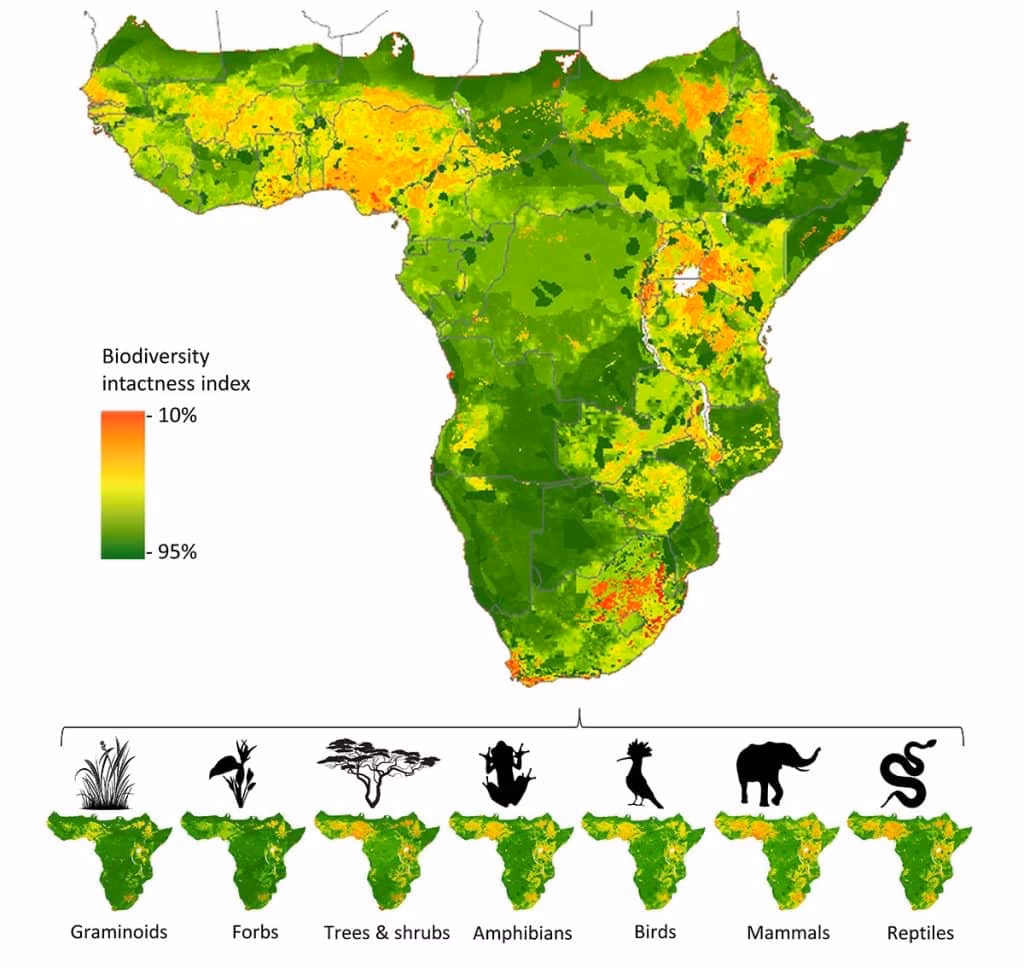 What is deforestation in Africa?