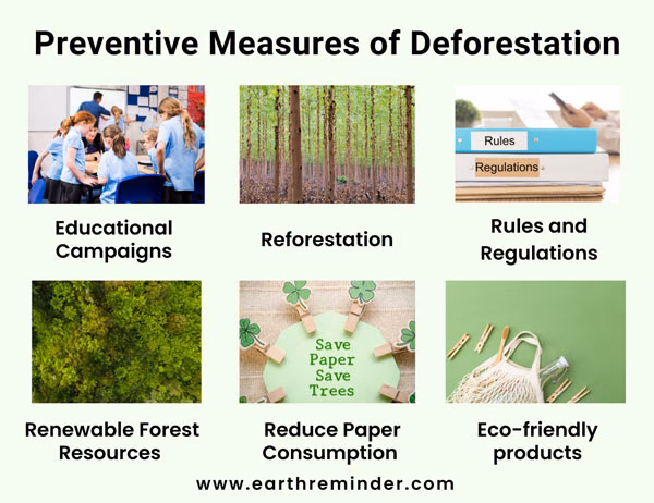How can we solve deforestation?
