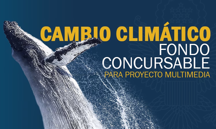 ¿Quiénes pueden solicitar subvenciones para el cambio climático?