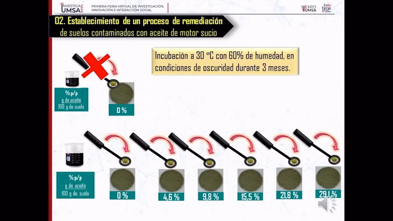 ¿Qué es la contaminación del suelo por aceite residual automotriz?