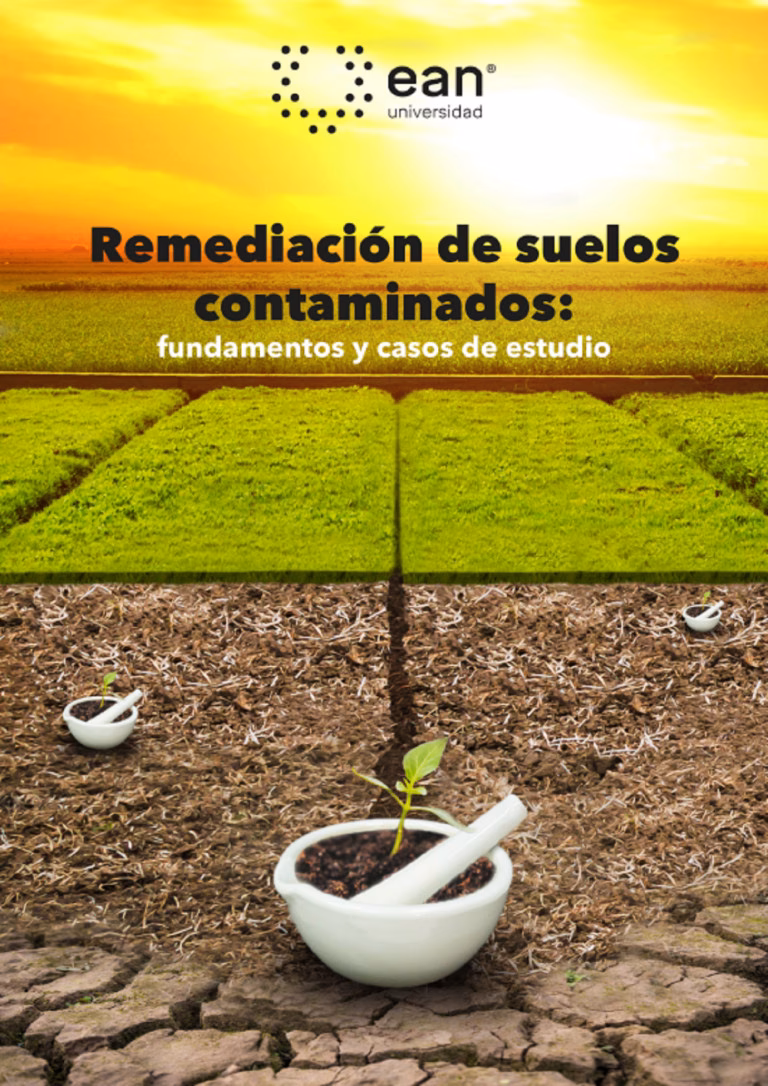 ¿Cuáles son los contenidos de un estudio de suelos contaminados?