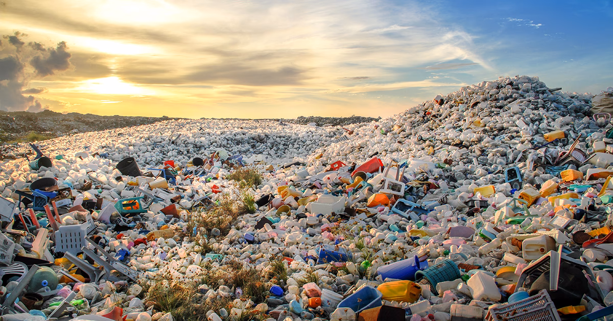 ¿Cuál es la diferencia entre los suelos contaminados y normales?