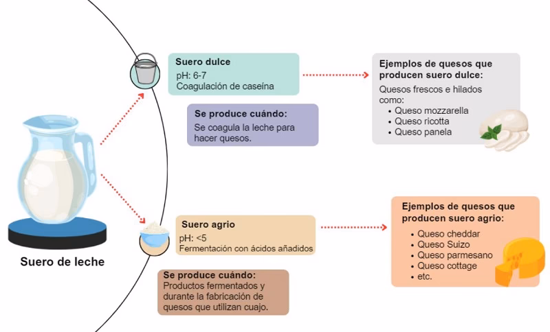 ¿Qué es la contaminación por el suero lácteo?