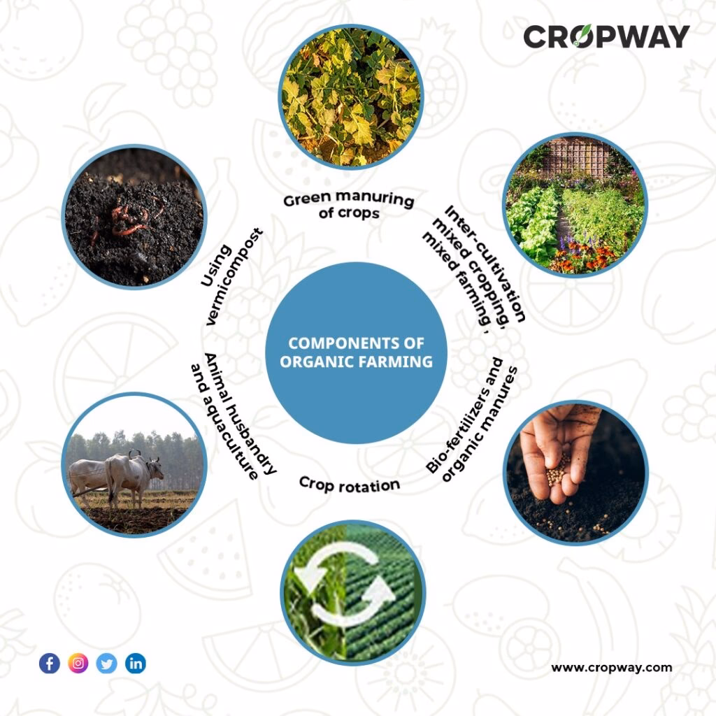 What is the difference between conventional farming and organic farming?