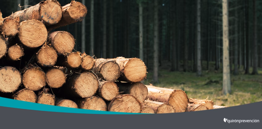 ¿Cuáles son las sustancias químicas nocivas de la madera?