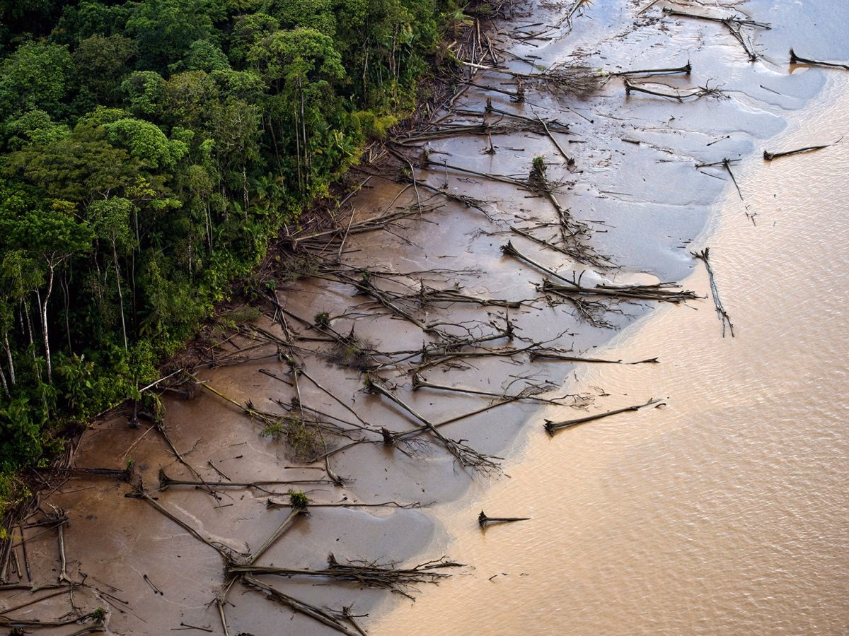 How can technology help reduce deforestation?