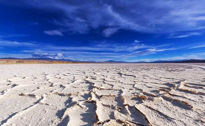 ¿Cómo recuperar los suelos contaminados por sales o metales pesados?