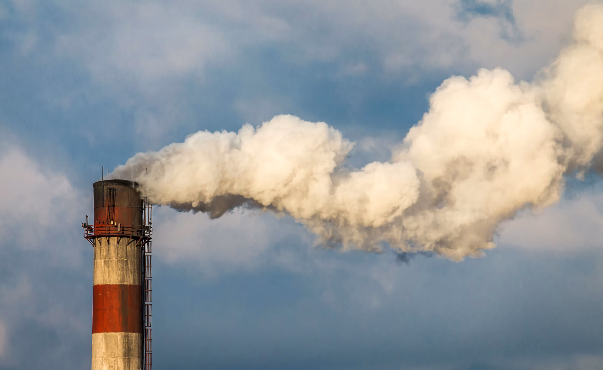 ¿Cómo combatir la contaminación?