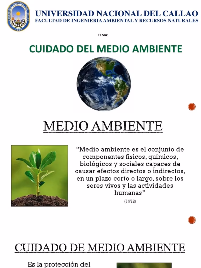¿Cuáles son las principales amenazas para el medio ambiente?
