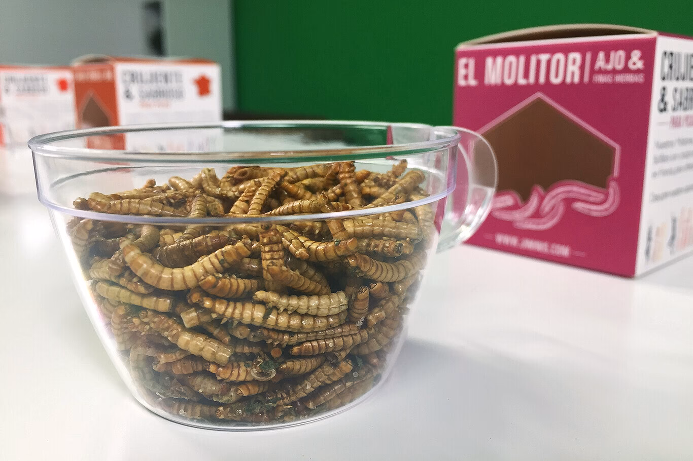 ¿Qué es el tenebrio molitor y para qué sirve?