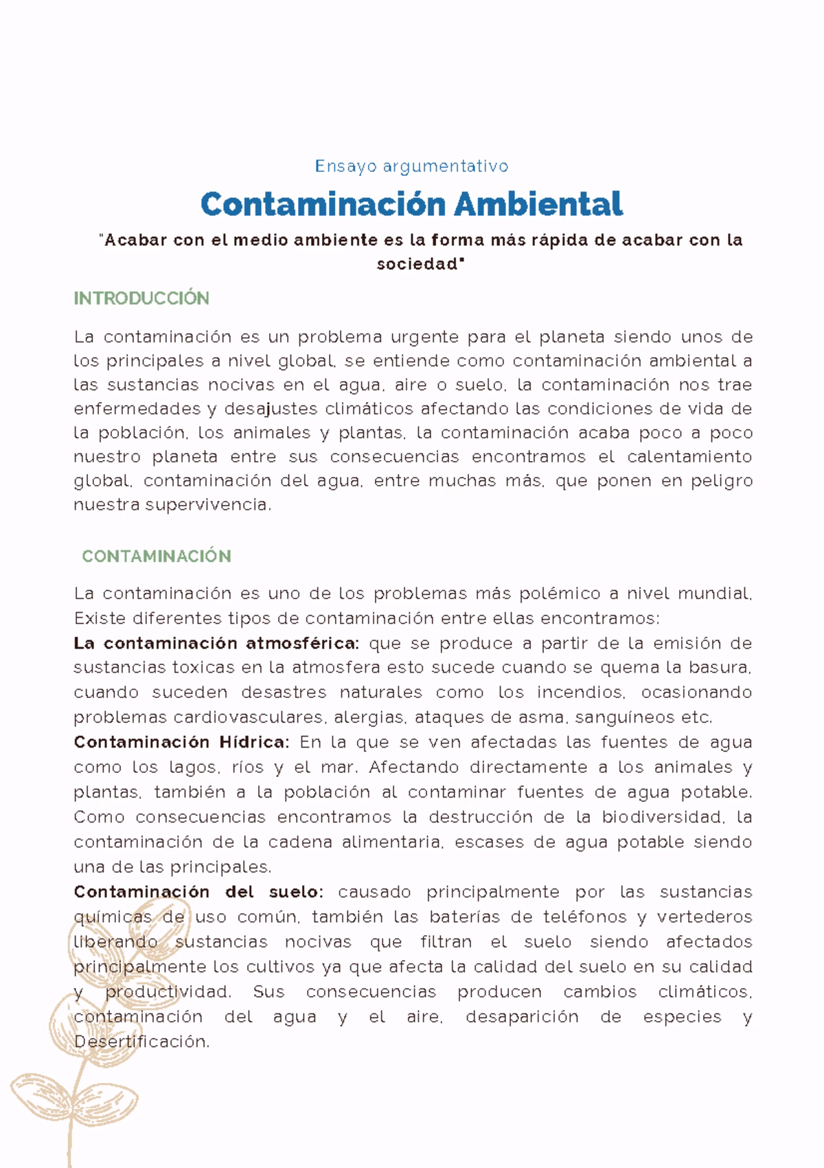 ¿Cuál es el objetivo del proyecto de contaminación?