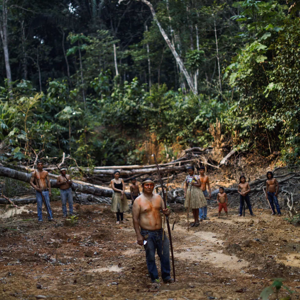 ¿Qué es el Consejo Nacional de lucha contra la deforestación?