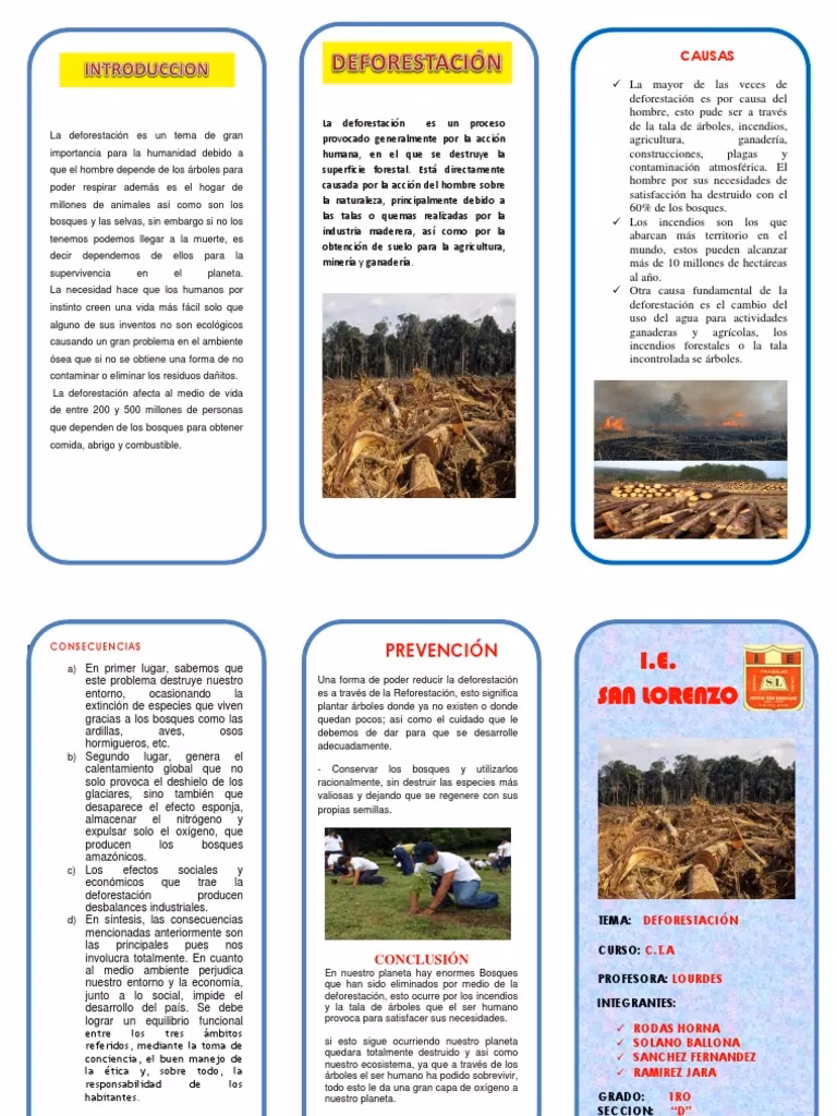 ¿Qué es la explotación forestal selectiva?