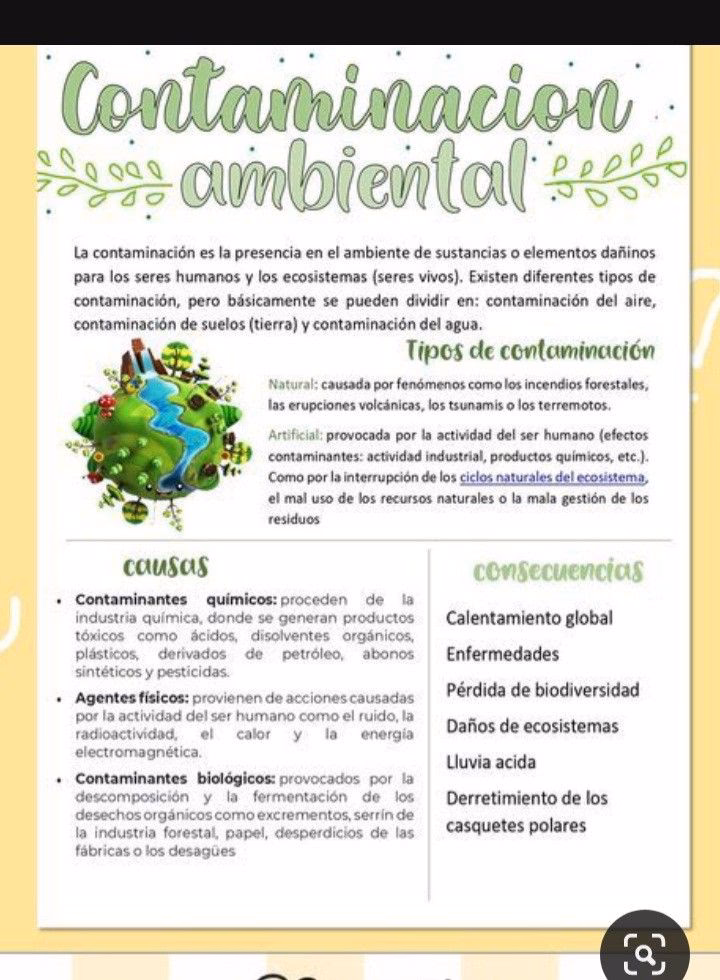 ¿Cómo cuidar el medio ambiente?