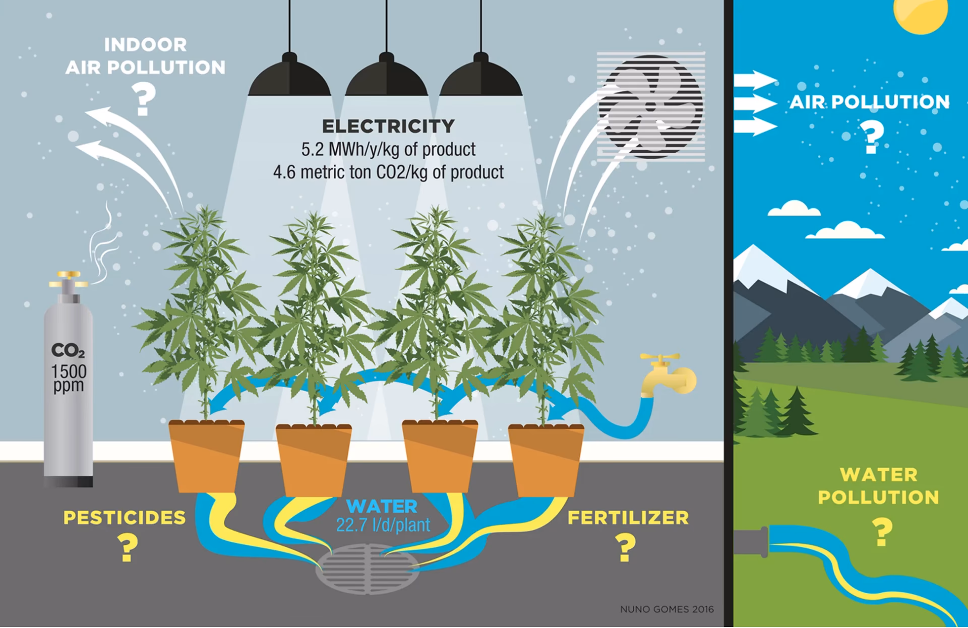 ¿Cómo llegar al THC en la marihuana?