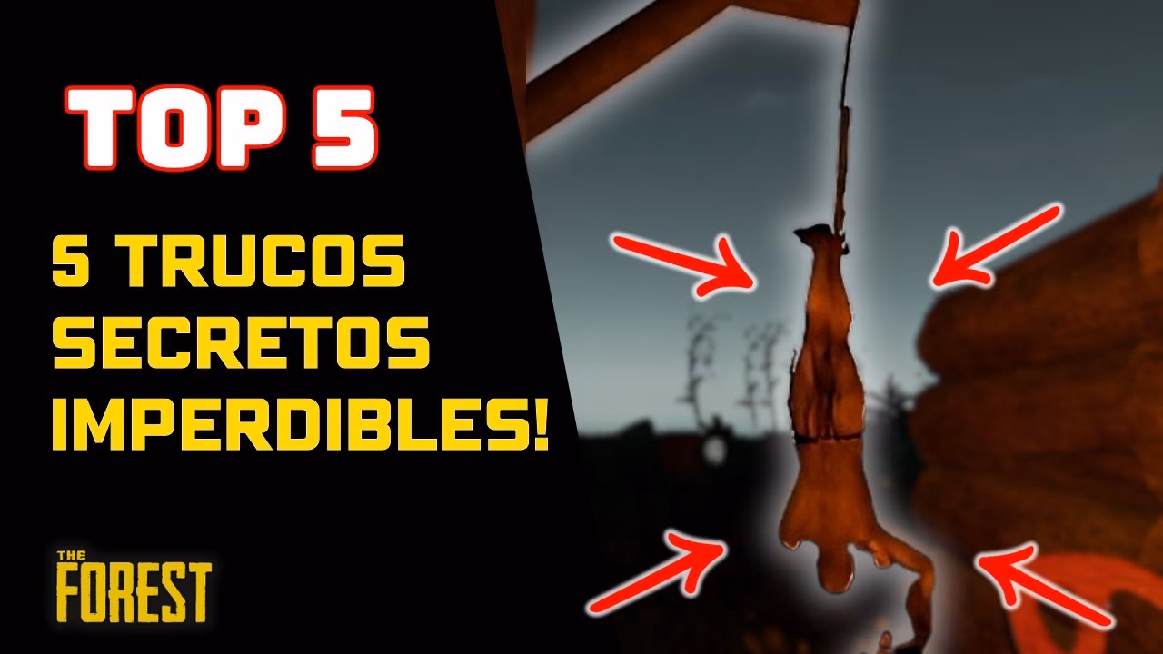 ¿Cuándo usar Forest?