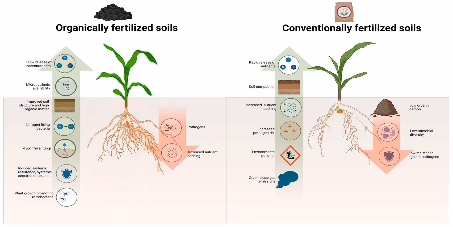 Why do we need sustainable fertilizer production?