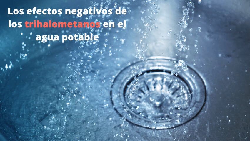 ¿Dónde hay más peligro de formación de THMs?