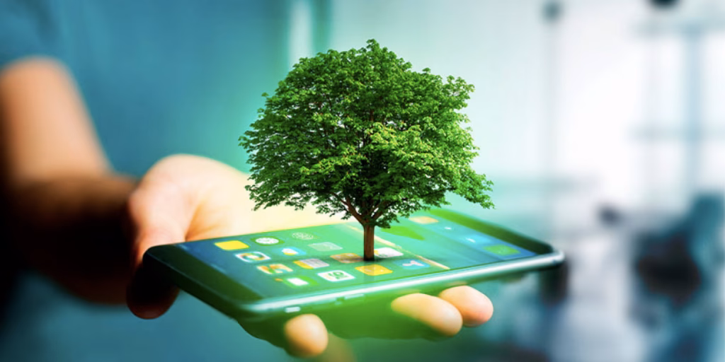 ¿Cuál es la relación entre el Medio Ambiente y la educativa?