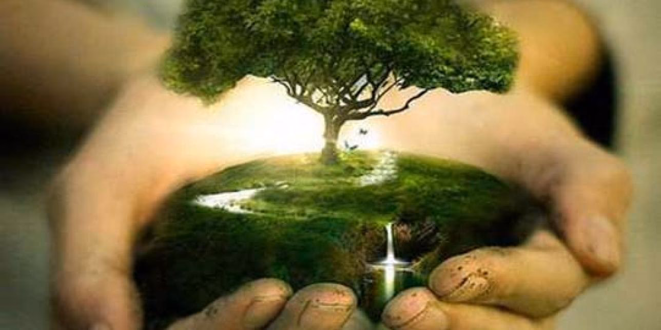 ¿Qué pasaría si no existiera la contaminación?