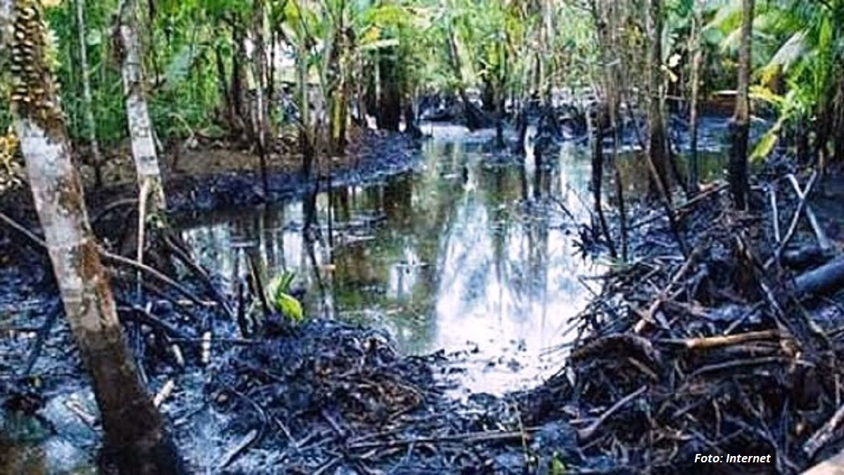 ¿Cómo afecta la contaminación a los pueblos indígenas?