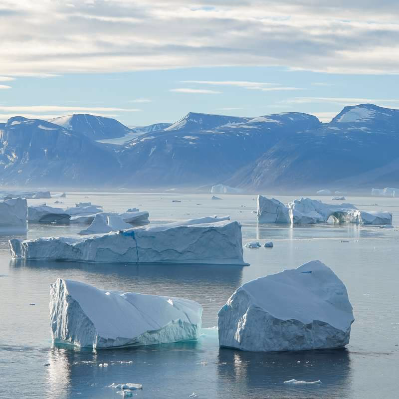 ¿Qué es el ecosistema del Polo Norte?