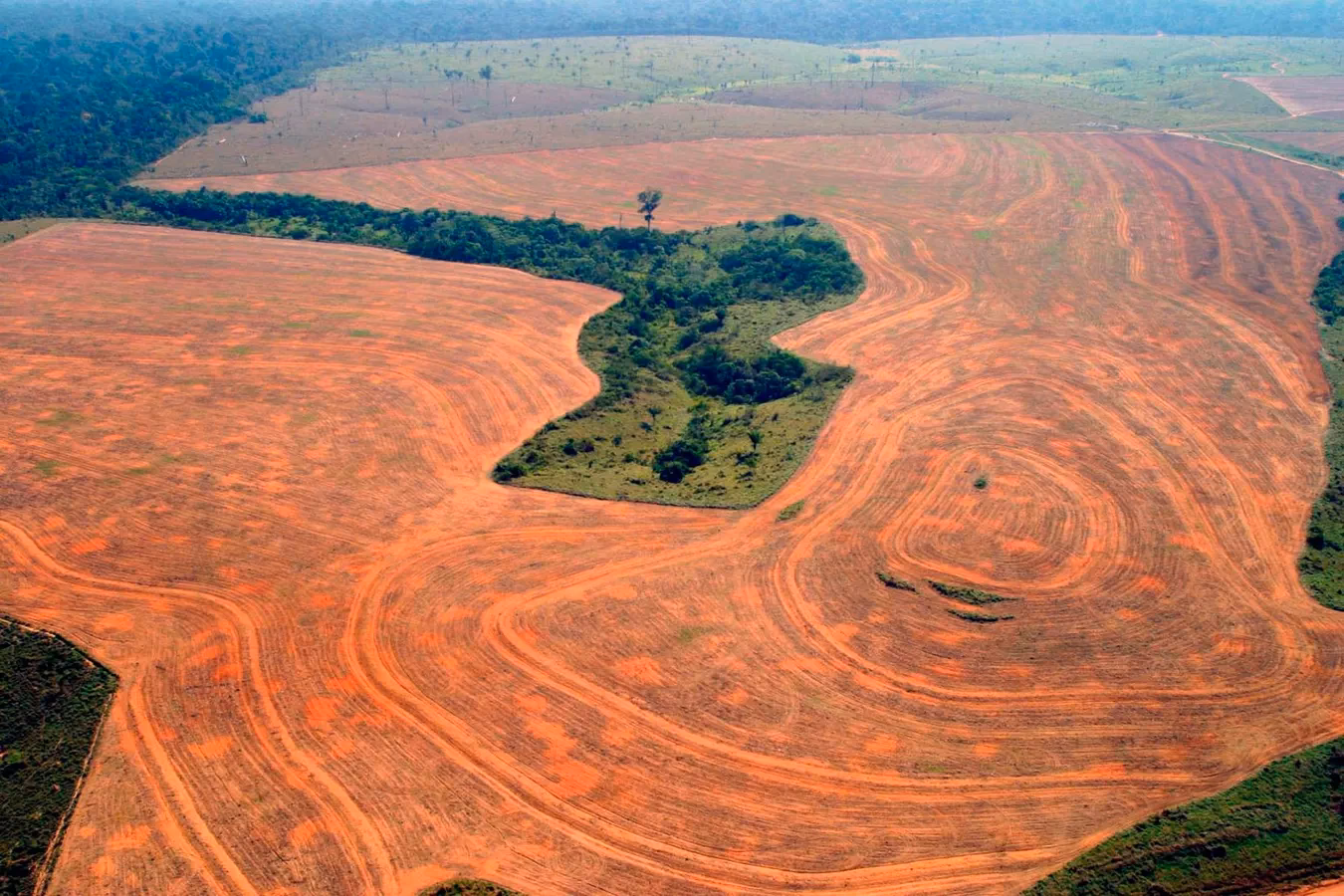 Is deforestation illegal in Brazil?