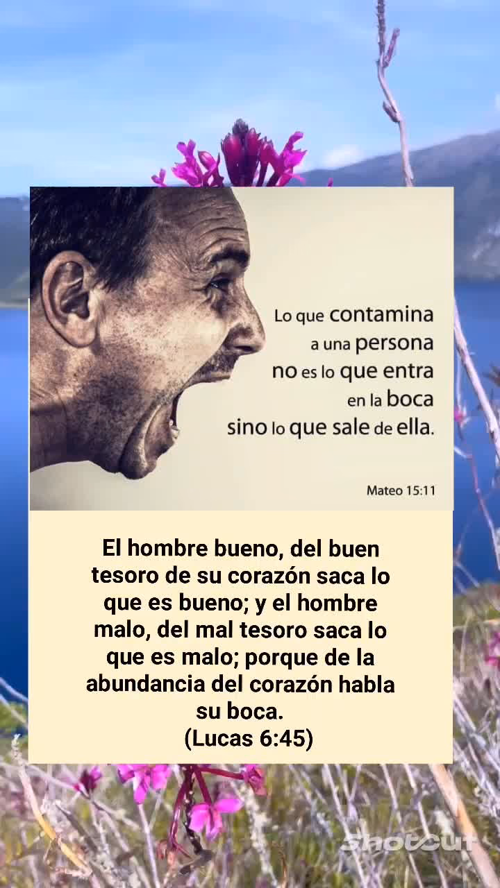¿Qué quiere decir lo que sale de la boca del corazón sale y esto contamina al hombre?