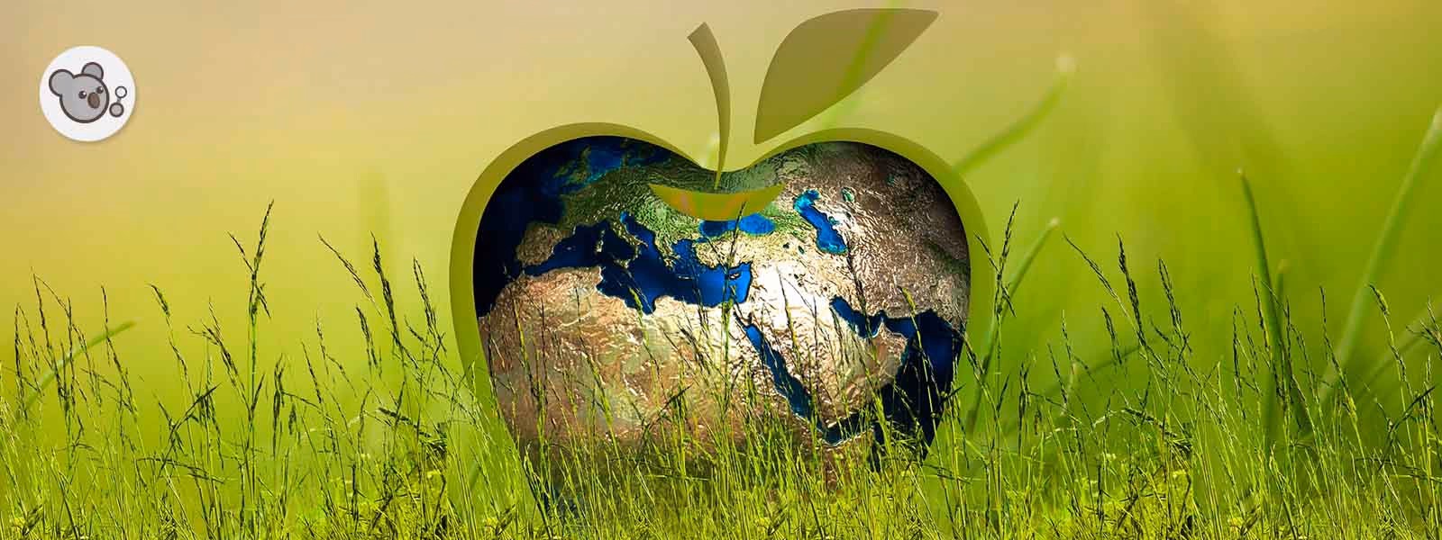 ¿Cuál es la importancia del consumo sostenible?