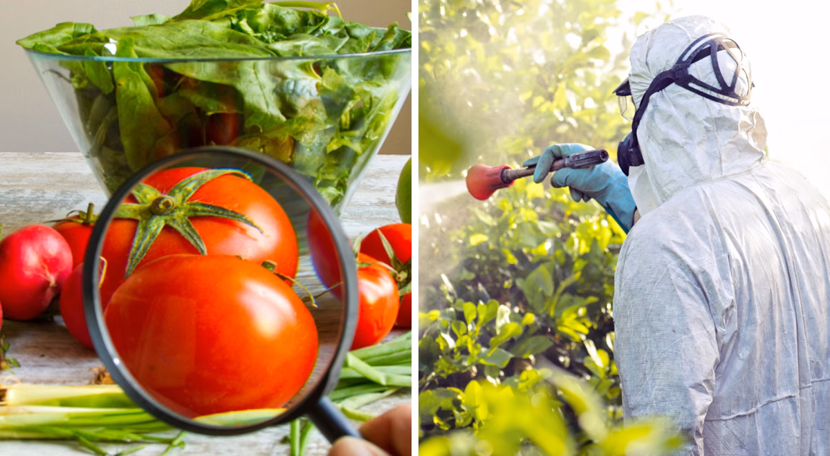 ¿Cómo eliminar los agroquímicos?