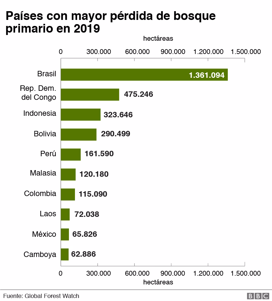 ¿Cuál fue el nivel más alto de pérdida de bosques en 2019?