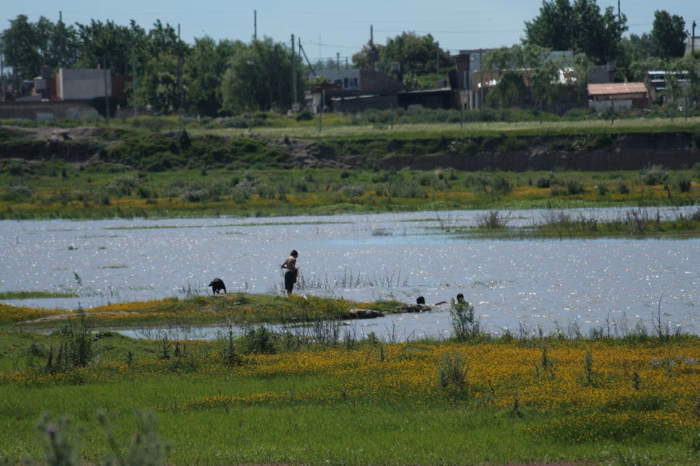 ¿Por qué las tosqueras quedan abandonadas?