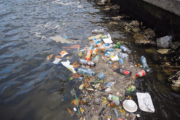 How does water pollution affect tourism?