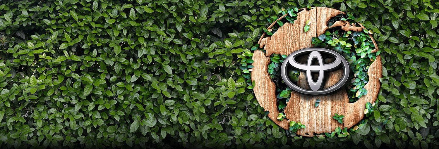 ¿Qué es la gestión medioambiental de Toyota?