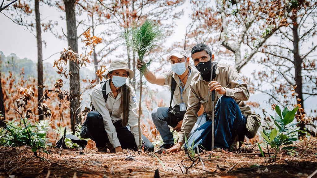 ¿Cuáles son las nuevas oportunidades laborales en el Ministerio del ambiente?