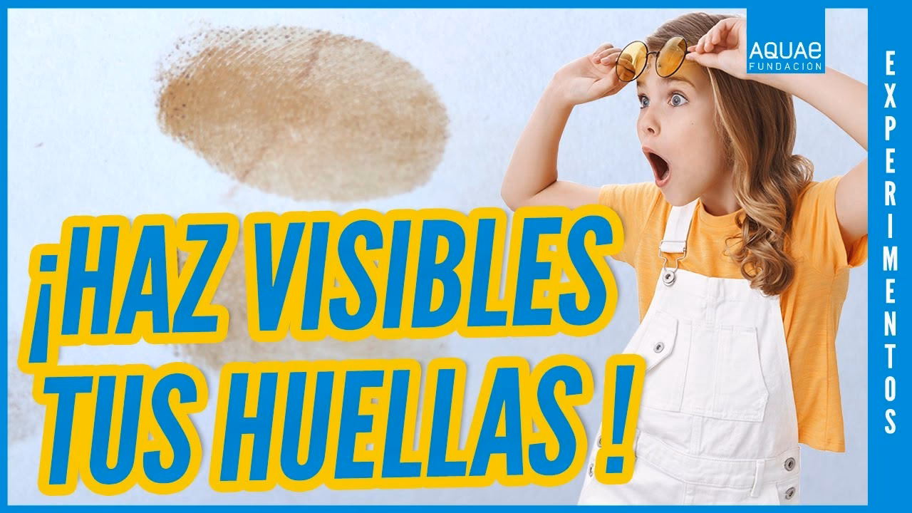 ¿Cómo reducir la huella de carbono en el trabajo?