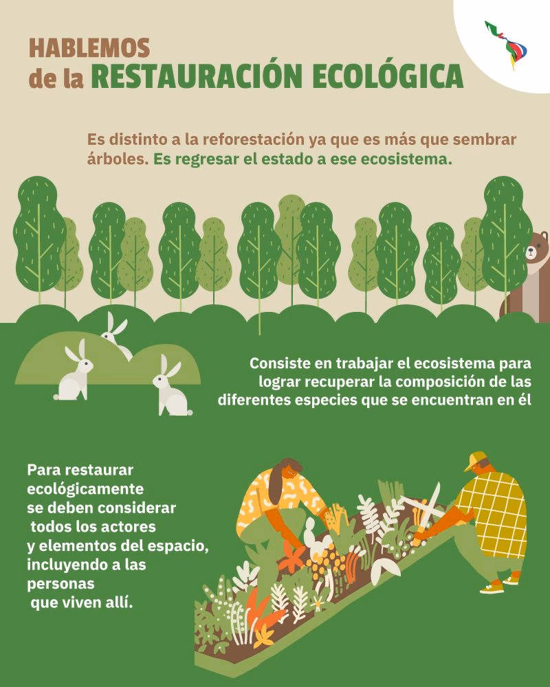 ¿Dónde se llevan a cabo las deforestaciones?