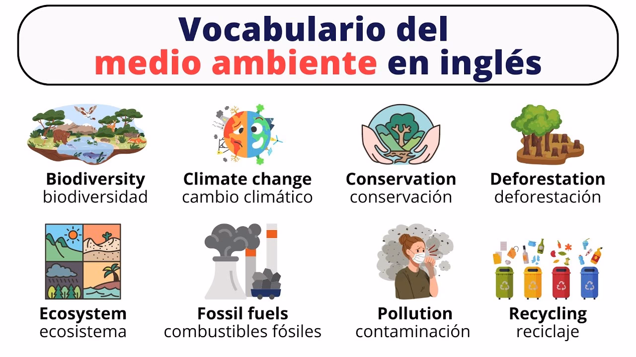 ¿Qué HACE UN coordinador de medio ambiente?