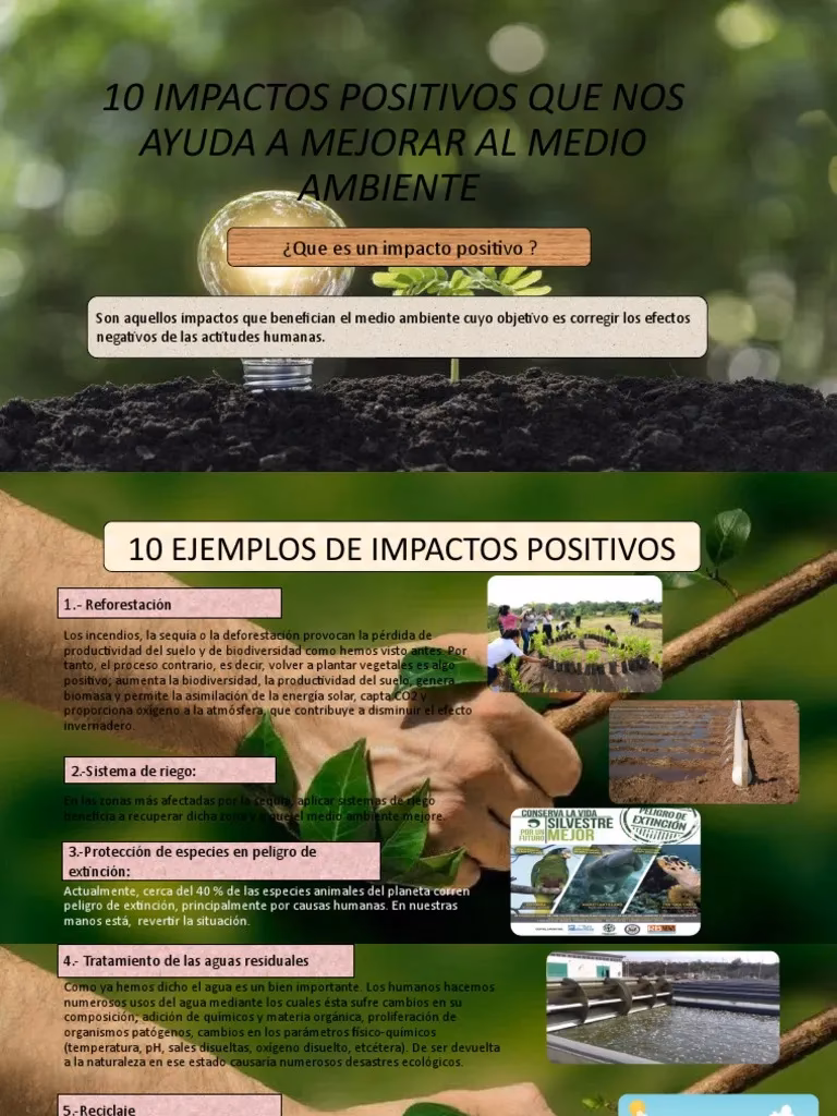 ¿Cuál es el impacto de los residuos en el medio ambiente?