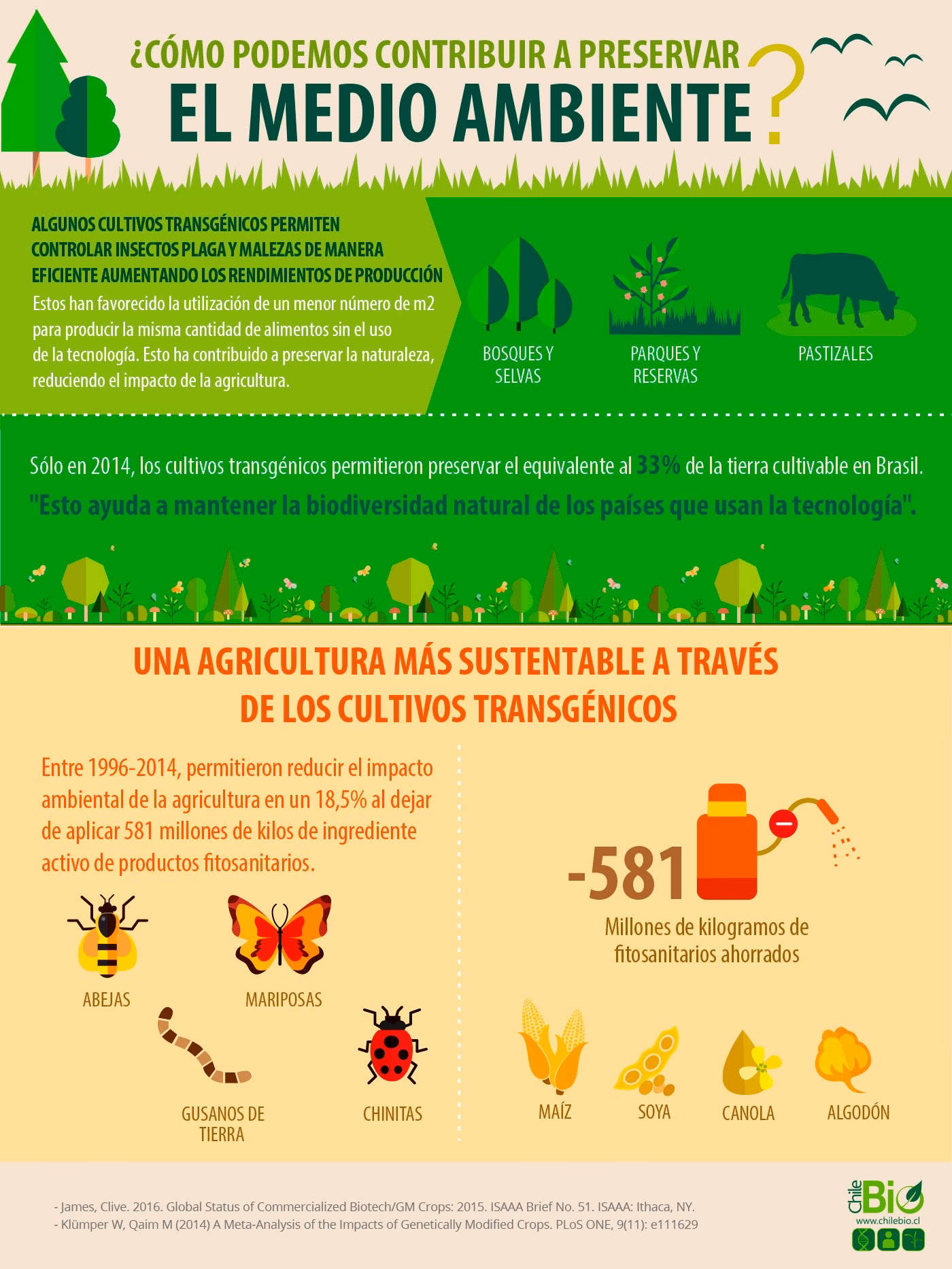 ¿Cuáles son los efectos de los alimentos transgénicos?