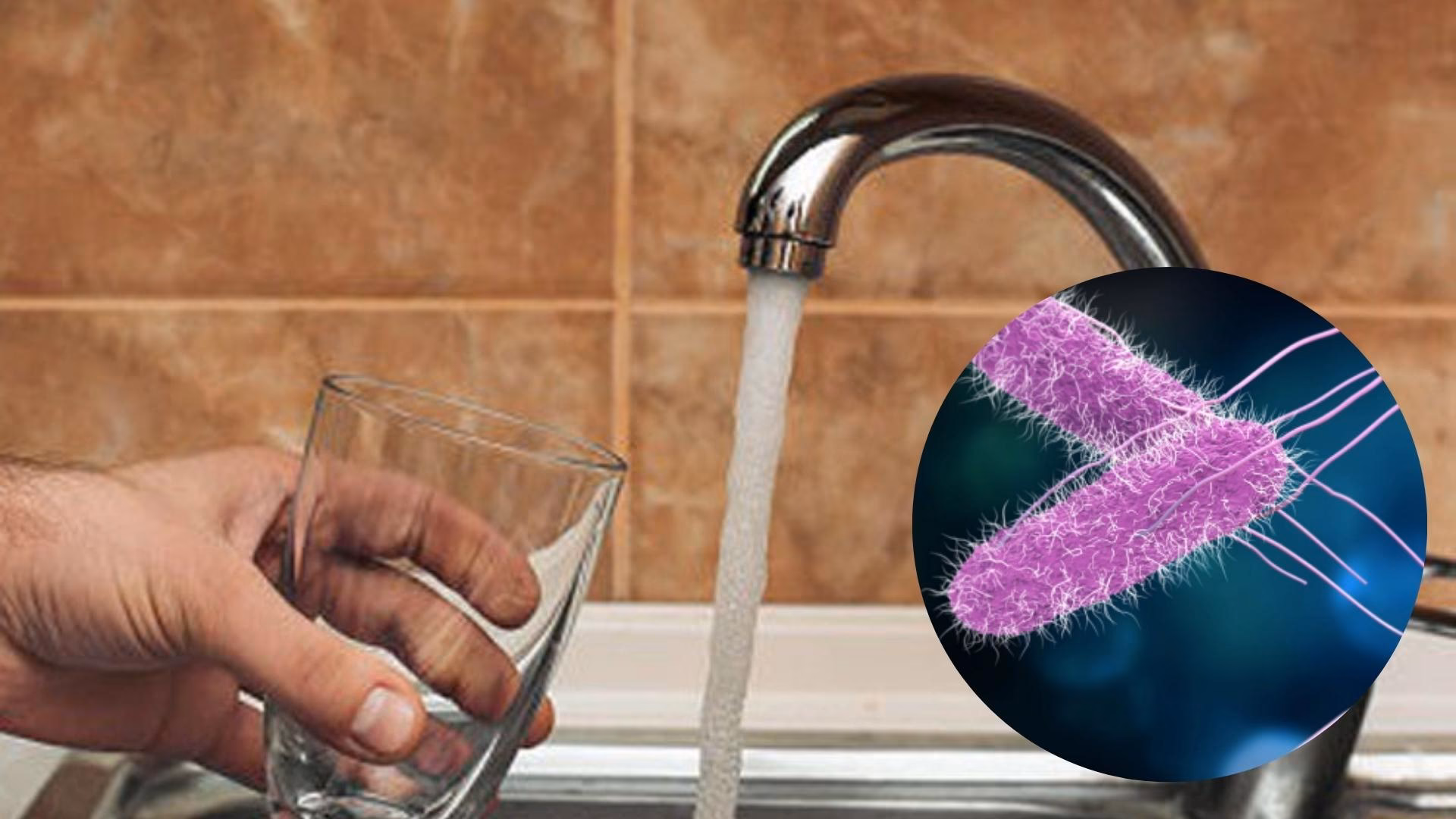 ¿Cómo se transmite el agua contaminada?