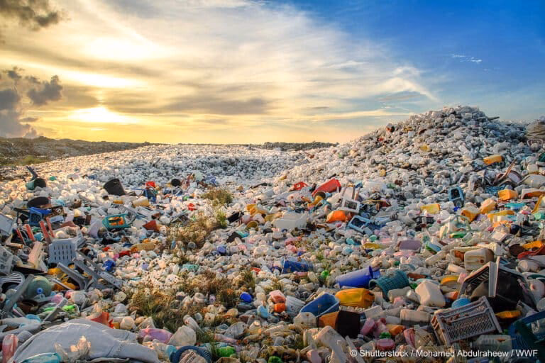 ¿Cuándo comienzan los trabajos para combatir la contaminación por plásticos?