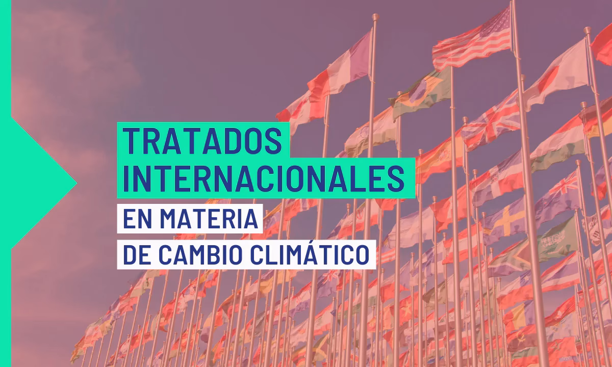 ¿Qué es la Primera Conferencia Mundial sobre el cambio climático?
