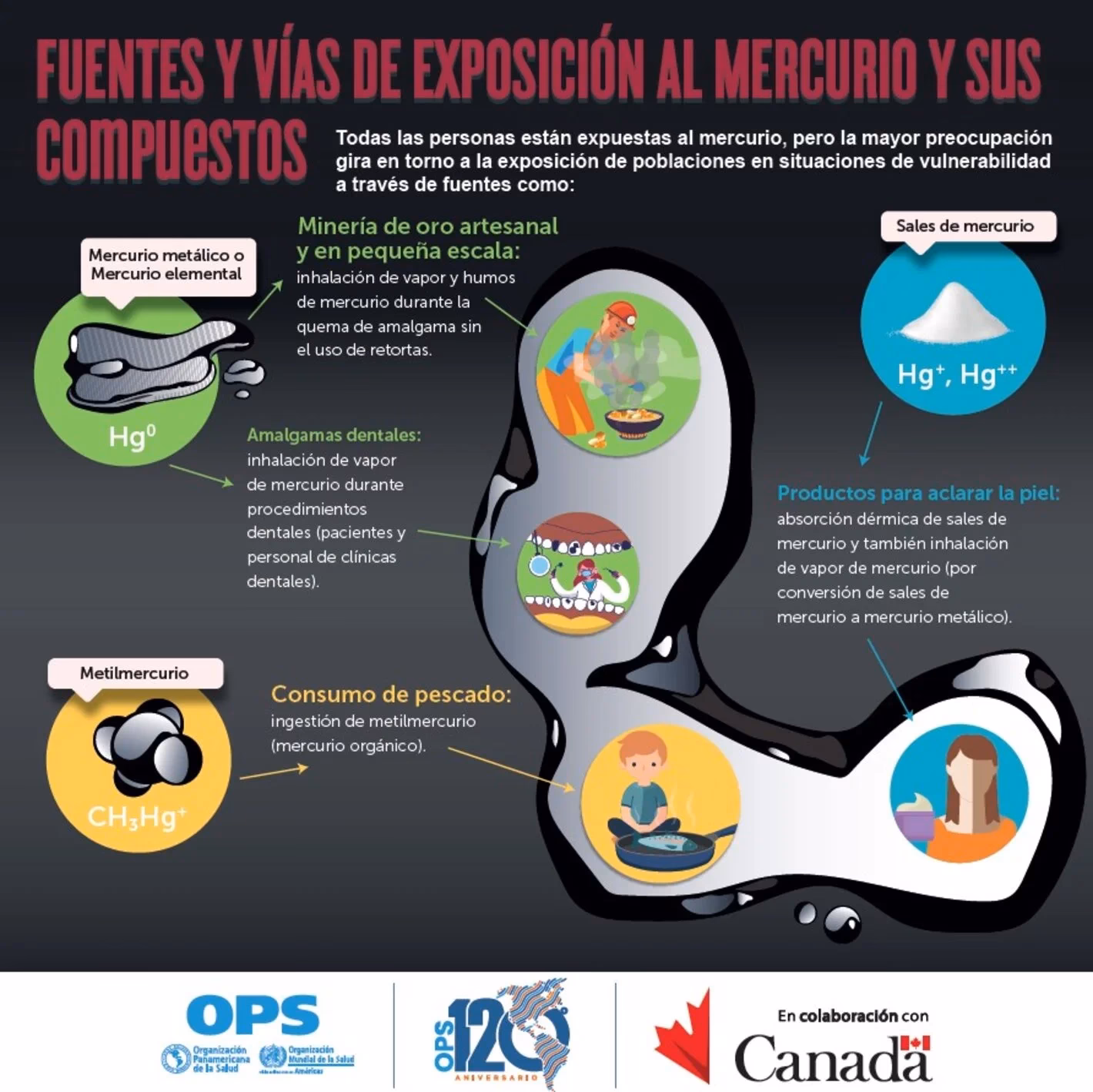 ¿Cómo recuperar el mercurio?