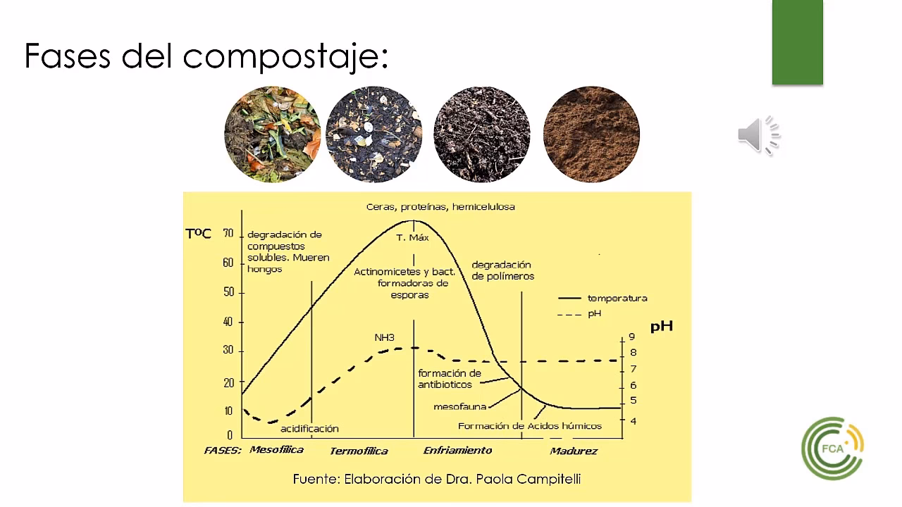 ¿Cómo se hace el compostaje doméstico?