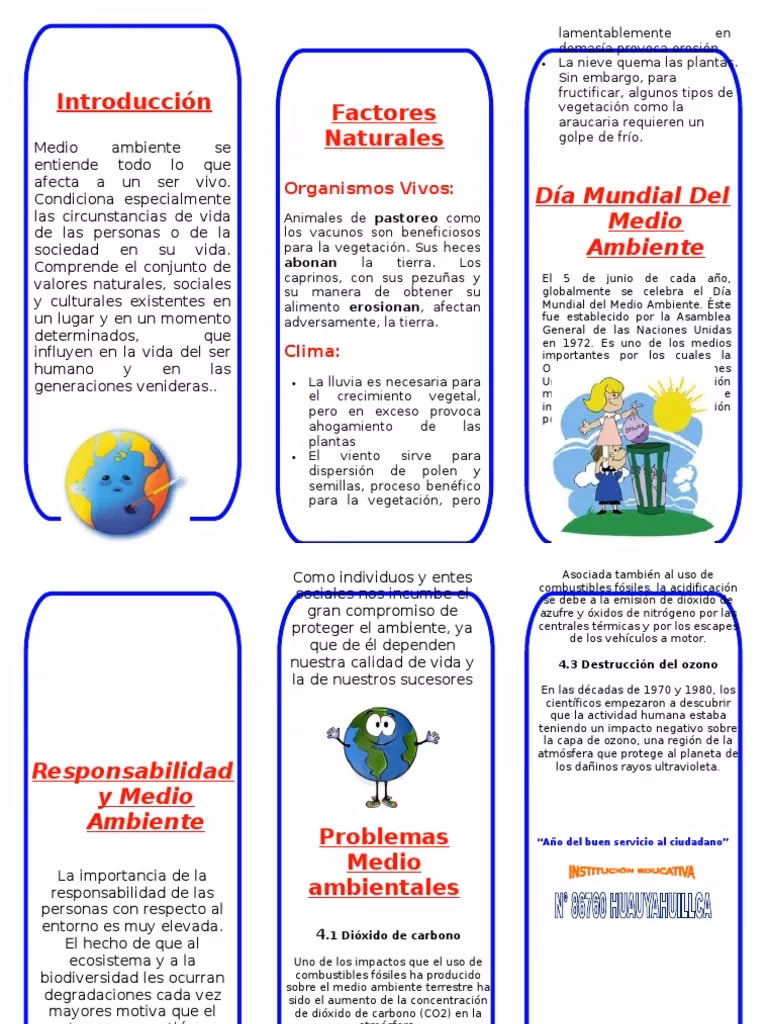 ¿Cómo cuidar el entorno?