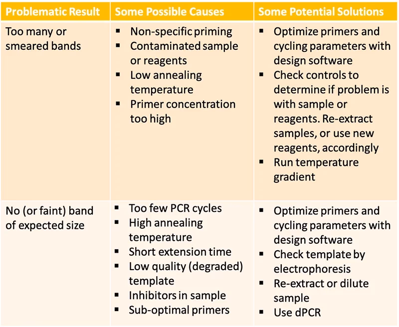 Why is my PCR contaminating a new PCR plate?