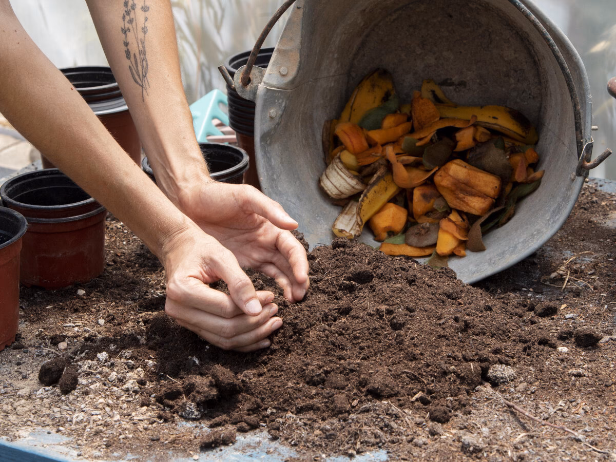 ¿Qué se puede compostar?