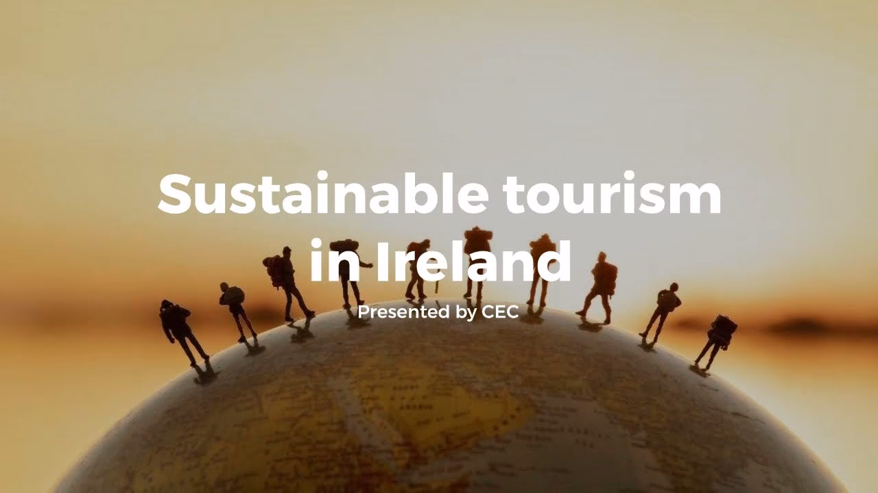 What is a Tourism Ireland board Sub-Committee on sustainability?