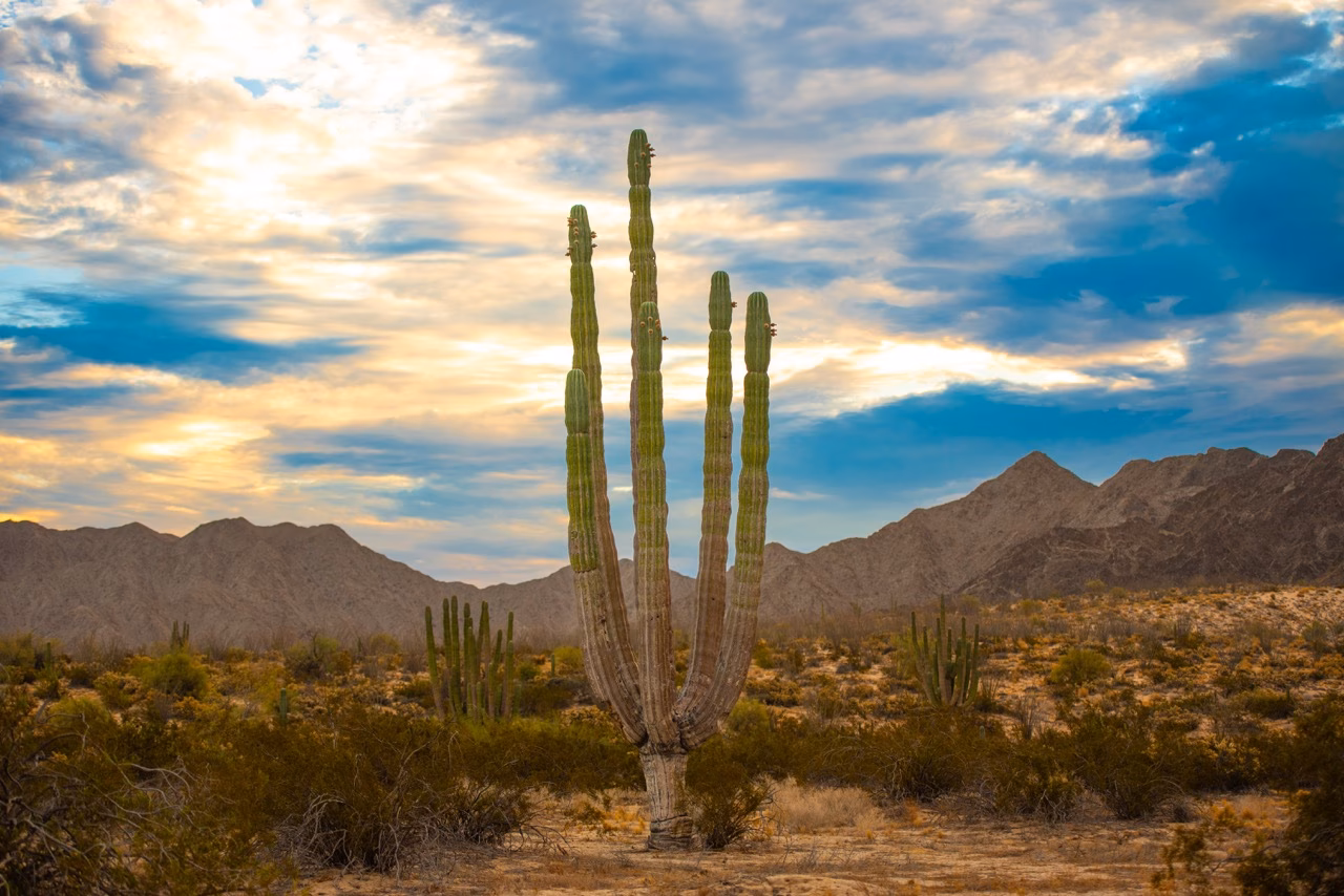 ¿Qué hacer en los Gigantes?